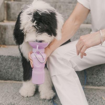 Show full view: Springland Travel Dog Bottle, Lilac, 22-oz slide 5 of 11