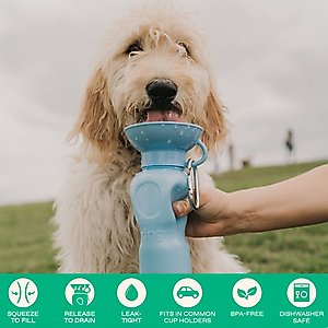 Springer Travel Dog Bottle, Sky Blue, 22-oz