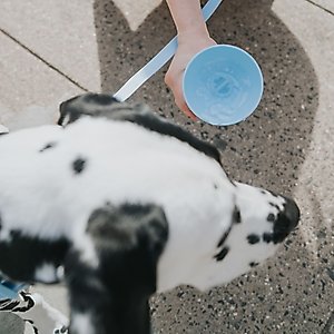 Springer Travel Dog Bottle, Sky Blue, 22-oz