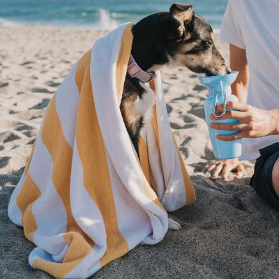 Show full view: Springland Travel Dog Bottle, Sky Blue, 22-oz slide 9 of 11