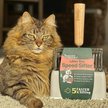 Show in main carousel: Sprinkle & Sweep Litter Box Speed Sifter for Low Dust with Base Dock Cat Litter Box Scoop, Grey slide 8 of 10