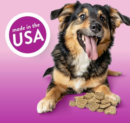 Show full view: Spunky Pup Beef Prime Rib Biscuits Crunchy Dog Treats, 24-oz bag slide 5 of 7