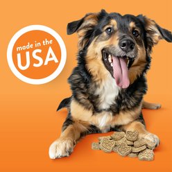 Spunky Pup Cheddar Bites Cheese Flavored Biscuits Crunchy Dog Treats, 24-oz bag slide 2 of 6