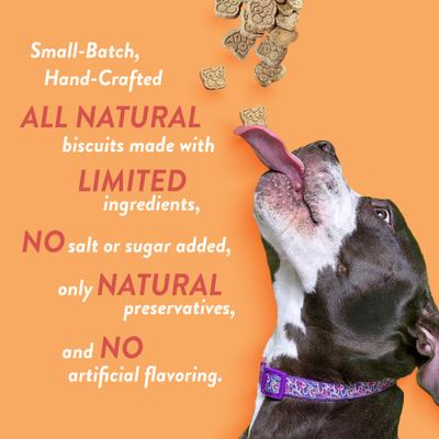 Show full view: Spunky Pup Cheddar Bites Cheese Flavored Biscuits Crunchy Dog Treats, 24-oz bag slide 3 of 7