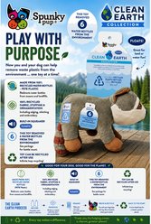 Spunky Pup Clean Earth Plush Raccoon Dog Toy, Gray, Small slide 2 of 5