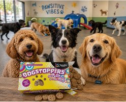 Spunky Pup DogStoppers Cheese Flavored Biscuits Crunchy Dog Treats, 5-oz box slide 2 of 6