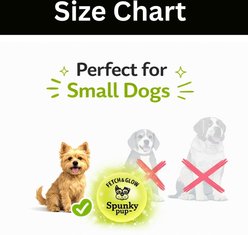 Spunky Pup Fetch & Glow Balls Dog Toy, 2 count slide 2 of 7