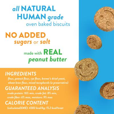 Show full view: Spunky Pup Spunky Bear Treat Dispensing Dog Toy, Medium slide 7 of 10