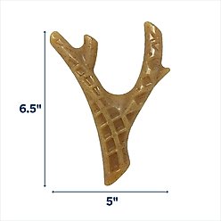 Spunky Pup The Antler Elk Dog Toy, Brown slide 2 of 2