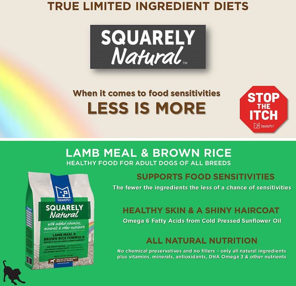 SquarePet Squarely Natural Chicken & Brown Rice Dry Cat Food