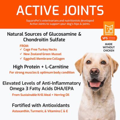 Show full view: SquarePet VFS Active Joints Hip & Joint Formula Dry Dog Food, 22-lb bag slide 4 of 10