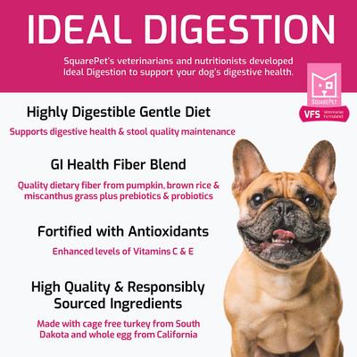 Show full view: SquarePet VFS Ideal Digestion Dry Dog Food, 22-lb bag slide 4 of 10