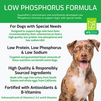 Show full view: SquarePet VFS Low Phosphorus Formula Dry Dog Food, 4.4-lb bag slide 4 of 10