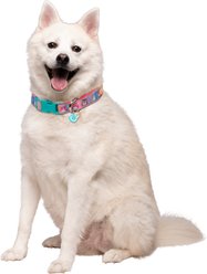 Squishmallows Squad Standard Adjustable Dog Collar, 18-26-in Neck, 3/4-in Wide, Large slide 2 of 5