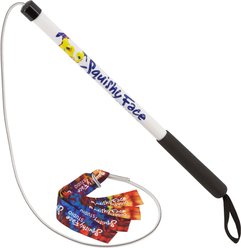 Squishy Face Studio Flirt Pole V2 with Lure Dog Toy, Rainbow Tie Dye, Junior