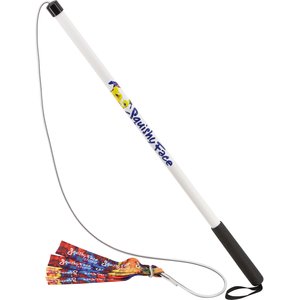 Squishy Face Studio Flirt Pole V2 with Lure Dog Toy, Rainbow Tie Dye, Regular