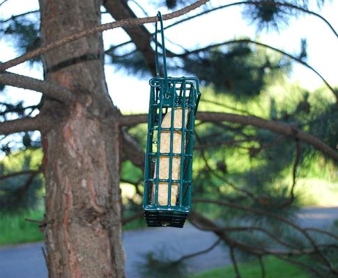 Show full view: St. Albans Bay Suet Plus Cherry Crunch Suet Wild Bird Food, case of 12 slide 5 of 7