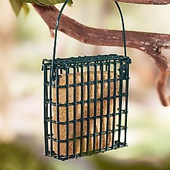 St. Albans Bay Suet Plus Variety Suet Wild Bird Food, case of 18 slide 2 of 5