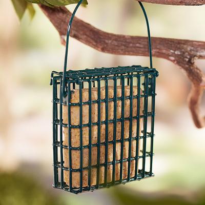 Show full view: St. Albans Bay Suet Plus Variety Suet Wild Bird Food, case of 6 slide 2 of 6