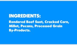 St. Albans Bay Suet Plus Woodpecker Suet Wild Bird Food, case of 8 slide 2 of 5