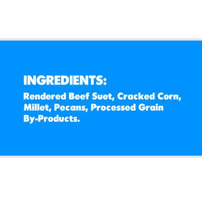 Show full view: St. Albans Bay Suet Plus Woodpecker Suet Wild Bird Food, case of 8 slide 2 of 5