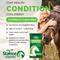 Show in main carousel: Stance Equitec Cool Stance Ultra Low Starch Horse Feed, 44-lb bag slide 3 of 7