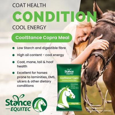 Show full view: Stance Equitec Cool Stance Ultra Low Starch Horse Feed, 44-lb bag slide 3 of 7