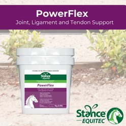 Stance Equitec PowerFLex Powder Horse Supplement, 4.4-lb slide 2 of 4