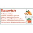 Show in main carousel: Stance Equitec Turmericle Powder Dog Supplement, 1-lb slide 4 of 4