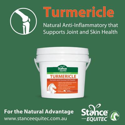 Show full view: Stance Equitec USA Turmericle Horse Supplement, 15-lbs slide 3 of 5