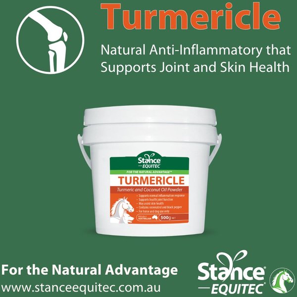 Stance Equitec Turmericle Powder Dog Supplement, 1-lb