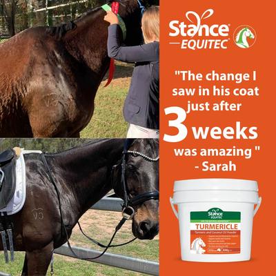 Show full view: Stance Equitec USA Turmericle Horse Supplement, 5-lbs slide 5 of 6