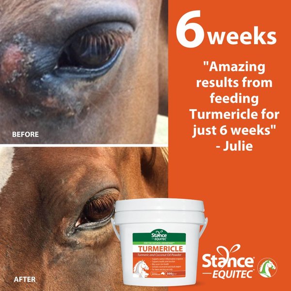Stance Equitec USA Turmericle Horse Supplement