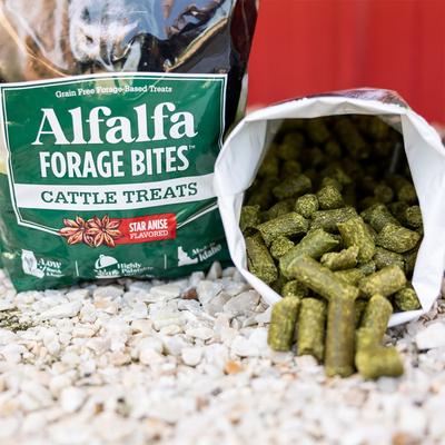 Show full view: Standlee Premium Western Forage Alfalfa Forage Bites Star Anise Flavored Cattle Treats, 5-lb bag slide 5 of 7