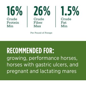 Standlee Premium Western Forage Certified Alfalfa Hay Cubes Horse Feed, 40-lb bag