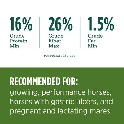 Show full view: Standlee Premium Western Forage Certified Alfalfa Hay Cubes Horse Feed, 40-lb bag slide 5 of 7