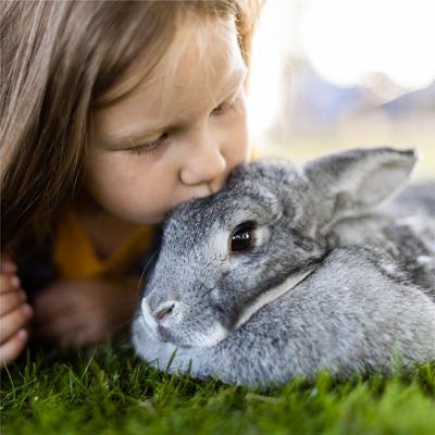 Show full view: Standlee PremiYum Western Timothy Hay Small Animal Food, 20-lb box slide 6 of 9