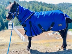 Star Point Horsemanship 1200 D Ripstop 220 Horse Blanket, Royal Blue, 68 to 70-in