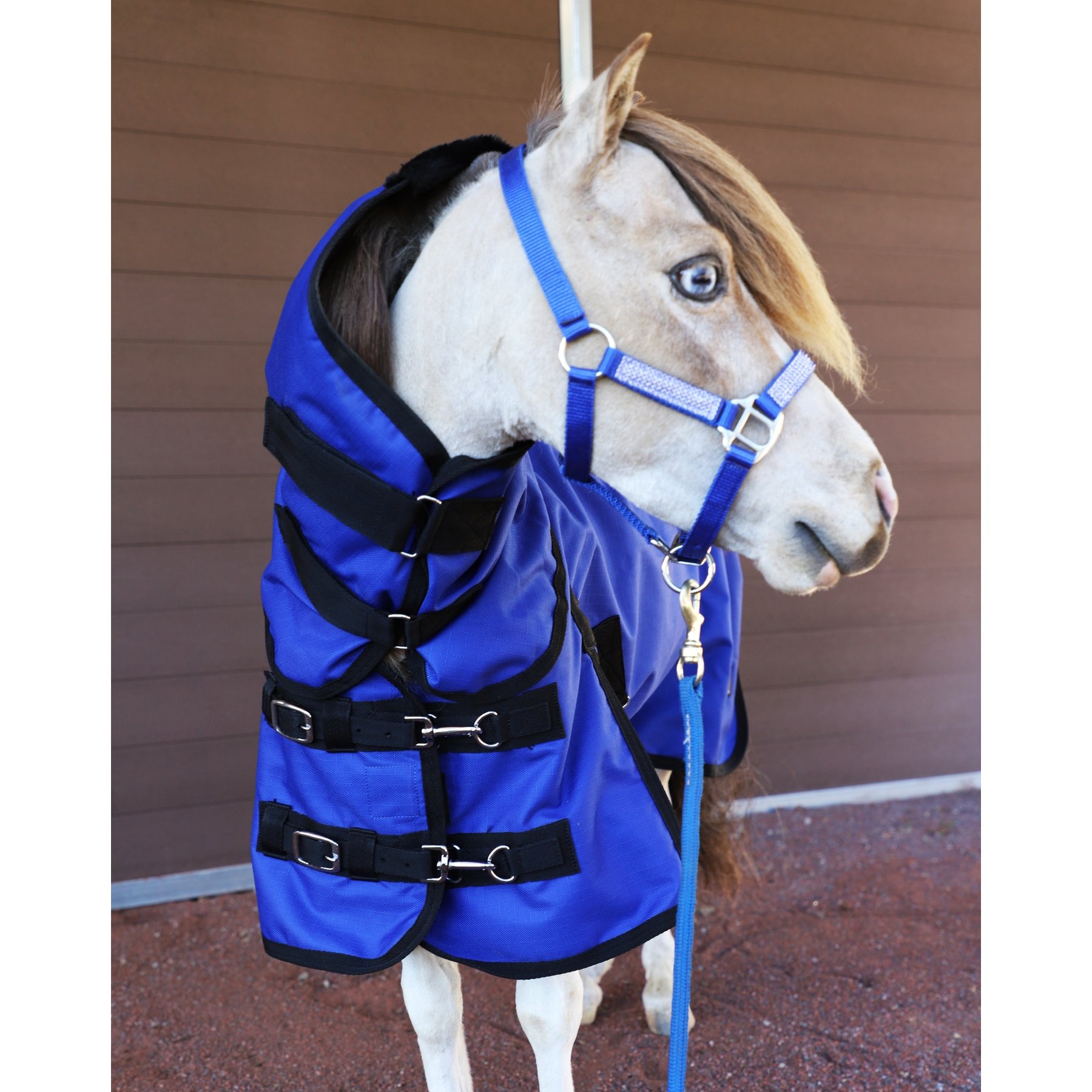 Star Point Horsemanship 1200 D RipStop Waterproof Horse Sheet, Royal, 50 to 52-in