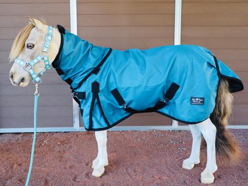 Show full view: Star Point Horsemanship 1200 D RipStop Waterproof Horse Sheet, Teal, 38 to 40-in slide 2 of 2