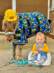 Star Point Horsemanship 220-gm Waterproof Horse Blanket, Yellow Trucks, 38 to 40-in slide 2 of 2