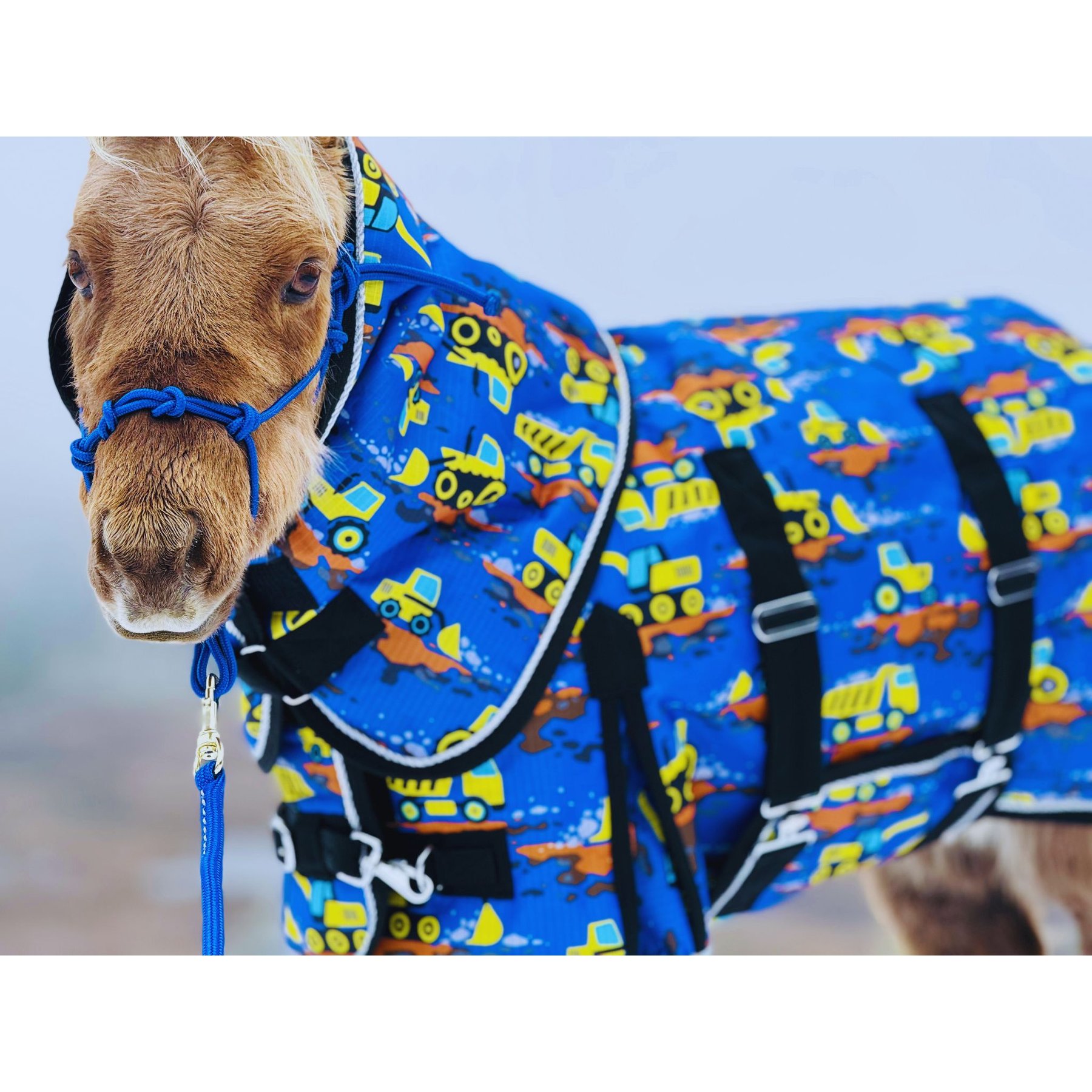 Star Point Horsemanship 220-gm Waterproof Horse Blanket, Yellow Trucks, 44 to 46-in