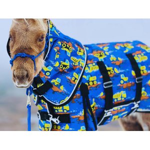 Star Point Horsemanship 220-gm Waterproof Horse Blanket, Yellow Trucks, 44 to 46-in