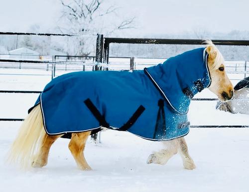 Show full view: Star Point Horsemanship 350 G 1200 D RipStop Waterproof Hooded Horse Blanket, Teal, 60 to 62-in slide 1 of 2