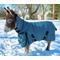 Show in main carousel: Star Point Horsemanship 350 G 1200 D RipStop Waterproof Hooded Horse Blanket, Teal, 60 to 62-in slide 2 of 2