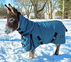 Star Point Horsemanship 350 G 1200 D RipStop Waterproof Hooded Horse Blanket, Teal, 78 to 80-in slide 2 of 2