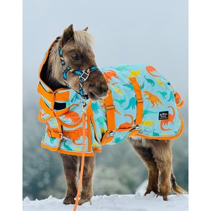 Star Point Horsemanship Blue Dinosaur 220 Hooded Waterproof Horse Blanket, Blue Dinosaur, 40 to 42-in