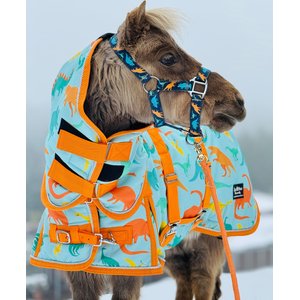 Star Point Horsemanship Blue Dinosaur 220 Hooded Waterproof Horse Blanket, Blue Dinosaur, 48 to 50-in