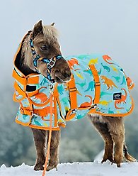 Star Point Horsemanship Blue Dinosaur 220 Hooded Waterproof Horse Blanket, Blue Dinosaur, 76 to 78-in