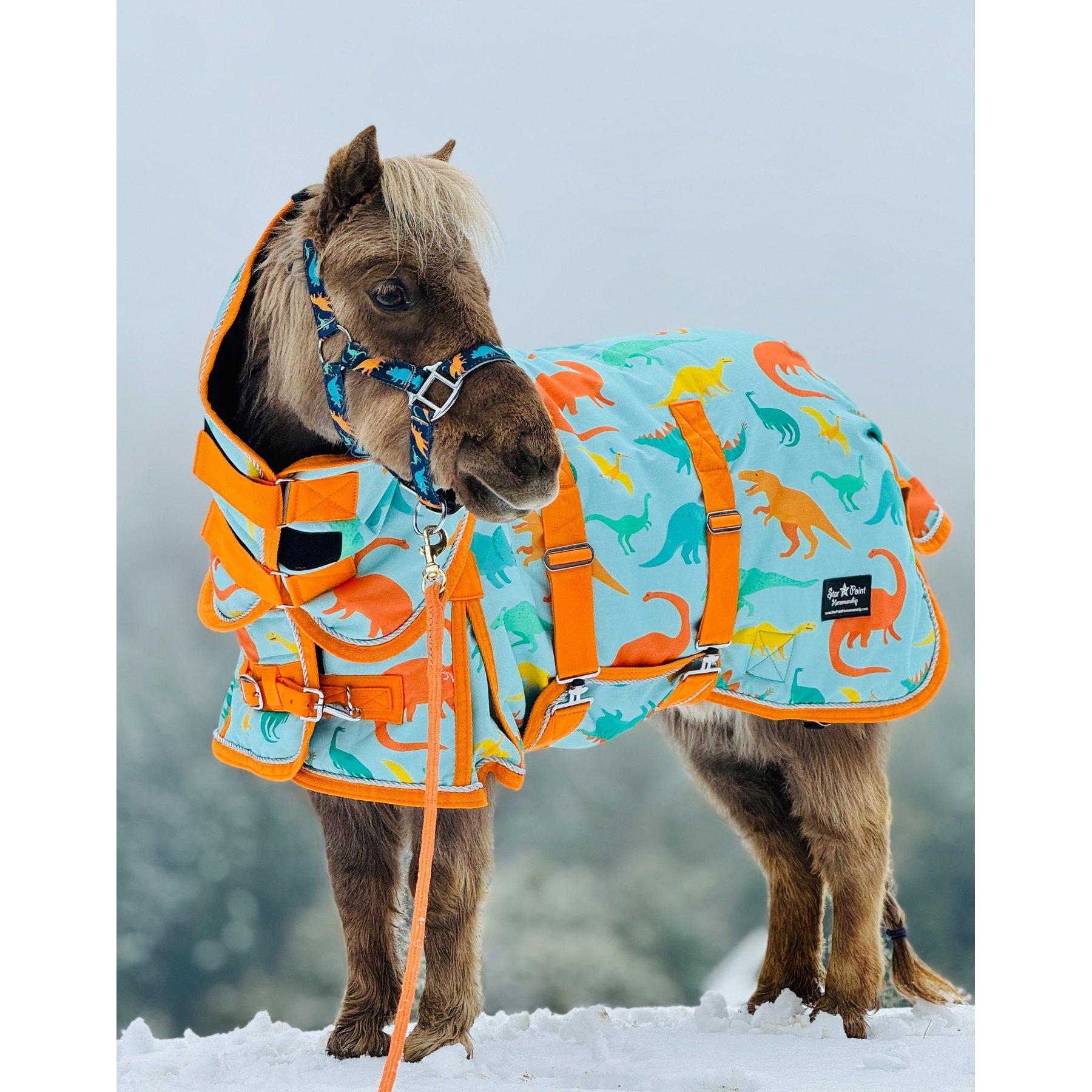 Star Point Horsemanship Blue Dinosaur 220 Hooded Waterproof Horse Blanket, Blue Dinosaur, 76 to 78-in